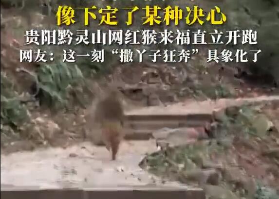 QQ截图20241127150559