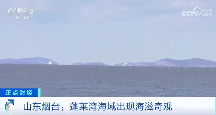 微信截图_20241127105548